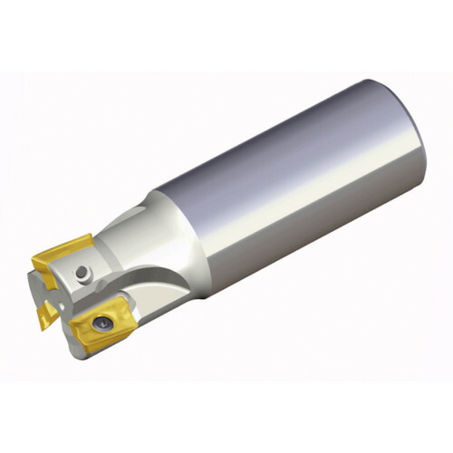 NTKカッティングツールズ　TAEGUTEC　ミーリングカッター　チェイスミル　【品番：TE90AP 333-32-17-L250】