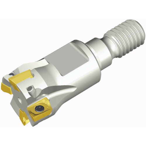 NTKカッティングツールズ　TAEGUTEC　チェイスミル　【品番：TE90AX 725-M12-06】