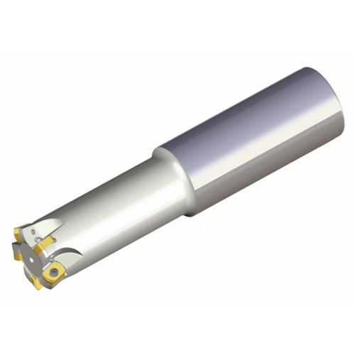 NTKカッティングツールズ　TAEGUTEC　チェイス４フィード　【品番：TEBL 425-25-06-S】