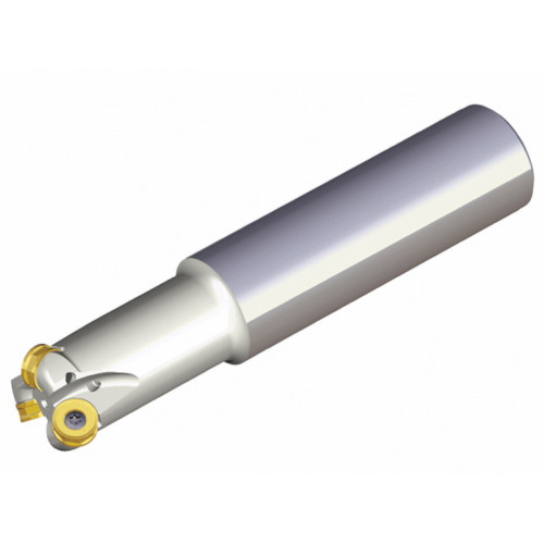 NTKカッティングツールズ　TAEGUTEC　チェイス２モールド　【品番：TERNS 240-32-16-L250】