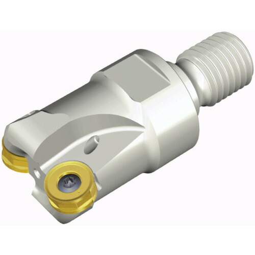 NTKカッティングツールズ　TAEGUTEC　チェイス２モールド　【品番：TERNS 340-M16-16】
