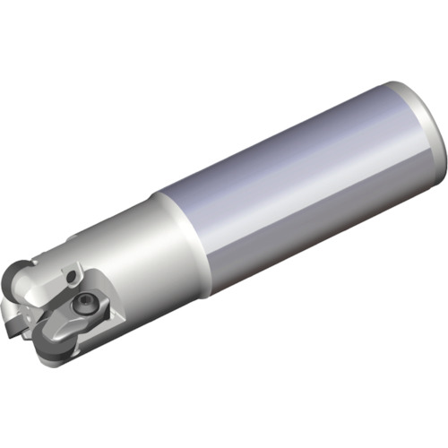 NTKカッティングツールズ　TAEGUTEC　チェイスモールド　【品番：TERP 325-25-09FL-L100】