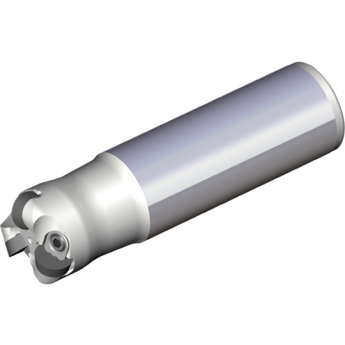 NTKカッティングツールズ　TAEGUTEC　チェイスモールド　【品番：TERP 332-32-12-L120】