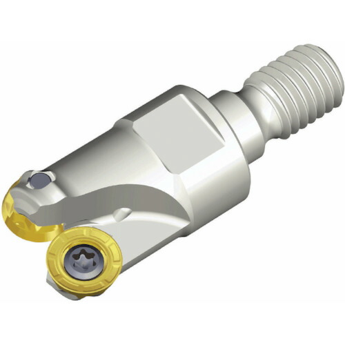 NTKカッティングツールズ　TAEGUTEC　チェイスモールド　【品番：TERX 232-M16-16】