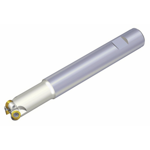 NTKカッティングツールズ TAEGUTEC チェイスモールド 【品番：TERY 220-25-10-L】