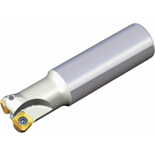 NTKカッティングツールズ　TAEGUTEC　チェイスフィード　【品番：TESB 340-32-13-L150】