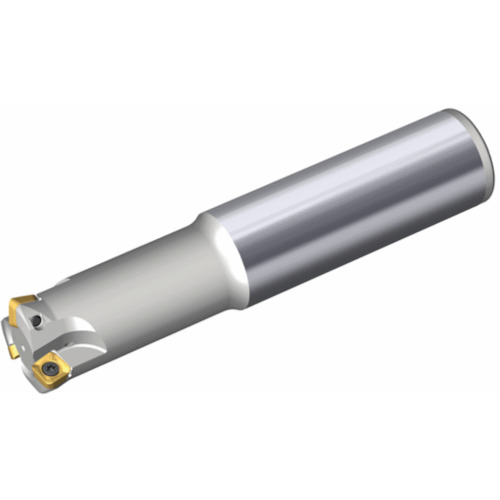 NTKカッティングツールズ　TAEGUTEC　チェイスフィード　【品番：TESB 432-32-09-L160】