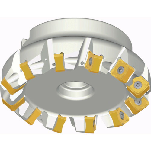 NTKカッティングツールズ　TAEGUTEC　チェイス２クアッド　【品番：TFM45SN 6125-40R-13B】 55,123円