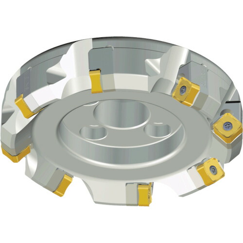 NTKカッティングツールズ　TAEGUTEC　チェイス２クアッド　【品番：TFM45SNS 6125-40R-16B-CA】
