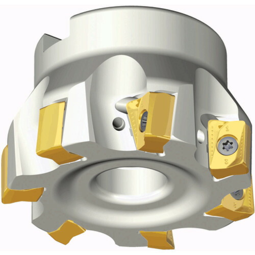 NTKカッティングツールズ　TAEGUTEC　ミーリングカッター　チェイス２ミル　【品番：TFM90AN 12160-40R-16】