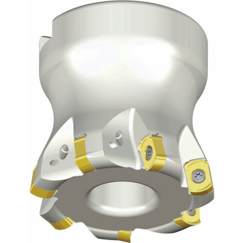 NTKカッティングツールズ　TAEGUTEC　チェイス４フィード　【品番：TFMBL 640-22R-06】