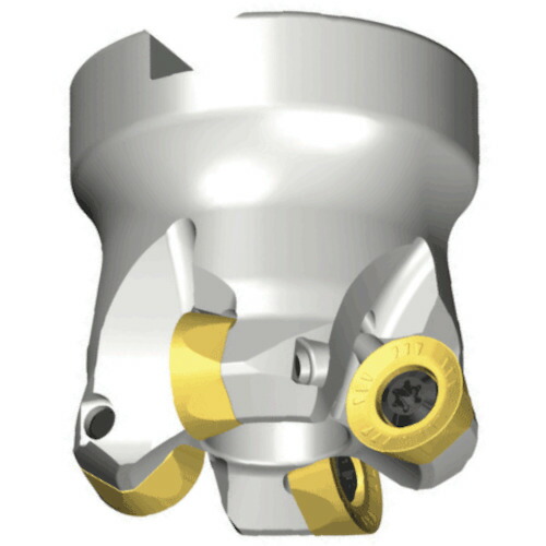 NTKカッティングツールズ　TAEGUTEC　チェイスモールド　【品番：TFMRT 540-16R-12】