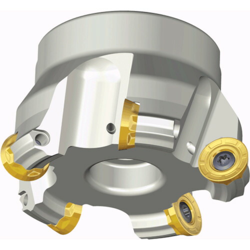 NTKカッティングツールズ　TAEGUTEC　チェイスモールド　【品番：TFMRX 680-25.4R-12】