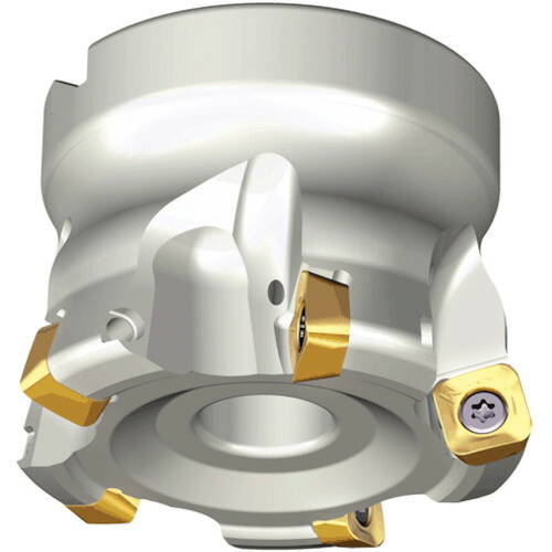 NTKカッティングツールズ　TAEGUTEC　チェイスフィード　【品番：TFMSB 463-27R-13】