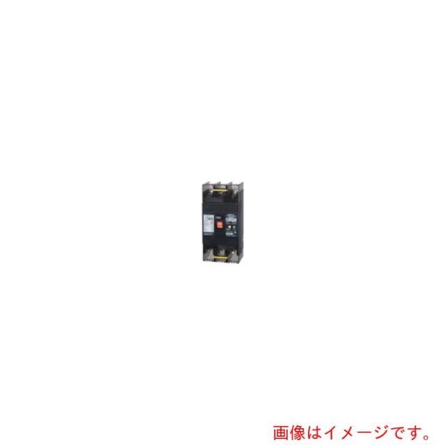 テンパール工業　漏電遮断器：経済タイプ　【品番：153EC15W24F】