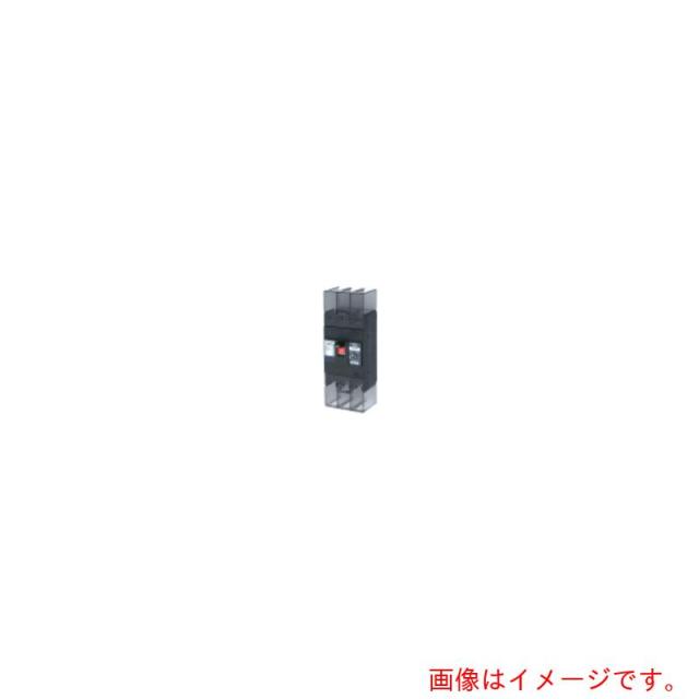 テンパール工業　漏電遮断器：経済タイプ　【品番：222EA2030】