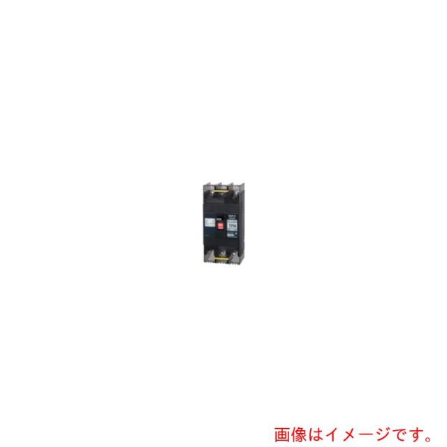 テンパール工業　配線用遮断器：経済タイプ　【品番：B123EC10F】