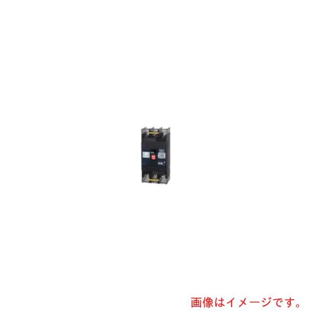 テンパール工業　配線用遮断器：経済タイプ　【品番：B152EC15F】