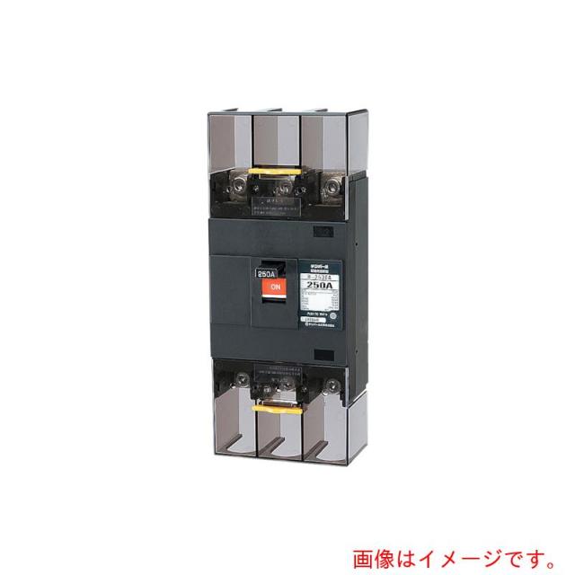 テンパール工業　テンパール工業　Ｂ−２５３ＥＡ　２５０Ａ　Ｅシリーズ（経済タイプ）配線用遮断器　モータ保護兼用　【品番：B253EA25】