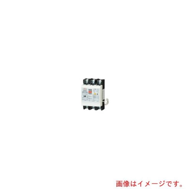 テンパール工業　漏電遮断器：太陽光発電システム用　【品番：U5301HECS3030】