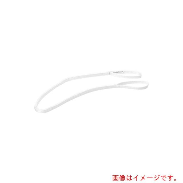 東レインターナショナル　シライ　ベルトスリング　ケミカルスリング　Ｃ１Ｅ（ＪＩＳ１トウキュウ）　両端アイ形　１００ｍｍ幅×長さ２．０ｍ　【品番：C1E-100X2.0】