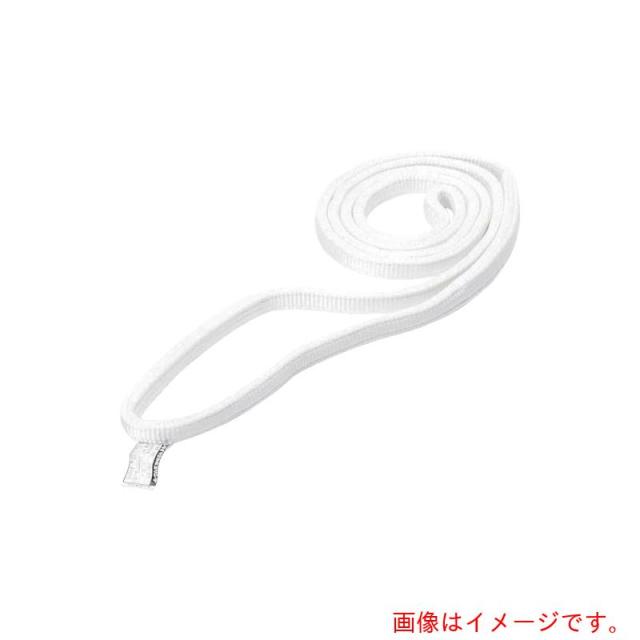 東レインターナショナル　シライ　ベルトスリング　ケミカルスリング　Ｃ１Ｎ（ＪＩＳ１トウキュウ）　エンドレス形　７５ｍｍ幅×長さ３．７５ｍ　【品番：C1N-75X3.75】