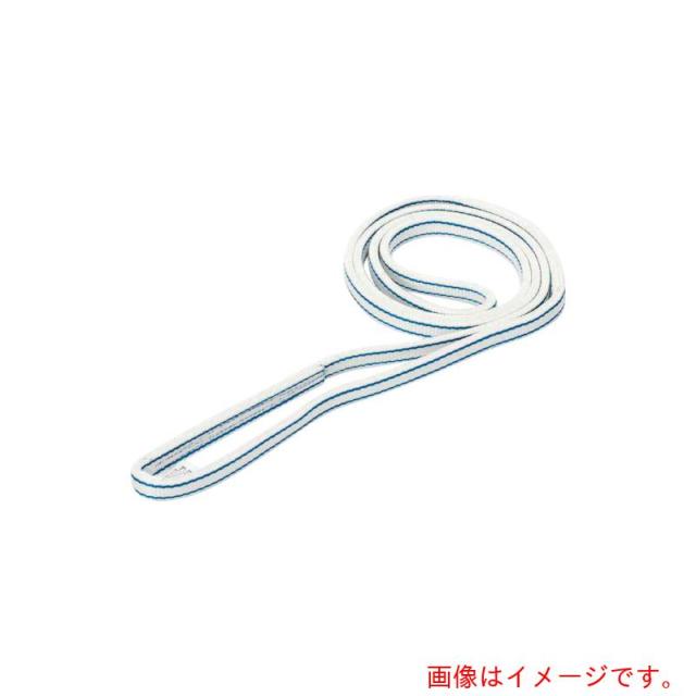 ★東レインターナショナル　シライ　ベルトスリング　ポリエステルスリング　ＰＥＴ３Ｎ（ＪＩＳ３トウキュウ）　エンドレス形　１００ｍｍ幅×長さ３．２５ｍ　【品番：PET3N-100X3.25】