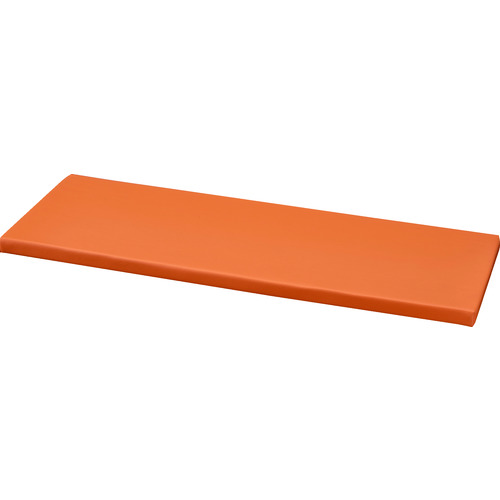 トラスコ中山（TRUSCO）　TRUSCO　壁面書庫“Ｃａｌｍａｔｉｏ”　専用クッション背板　オレンジ　【品番：TCL-O-CS-OR】