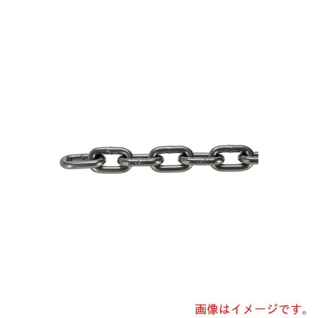 トラスコ中山（TRUSCO）　TRUSCO　ＪＩＳ　Ｆ２１０６第一種規格相当　ロングリンクチェーン　スチール　磨き　線径６ｍｍ×長さ２７．１Ｍ〜２８．０Ｍ　【品番：TIC-6-LG-M-28C】 18,705円