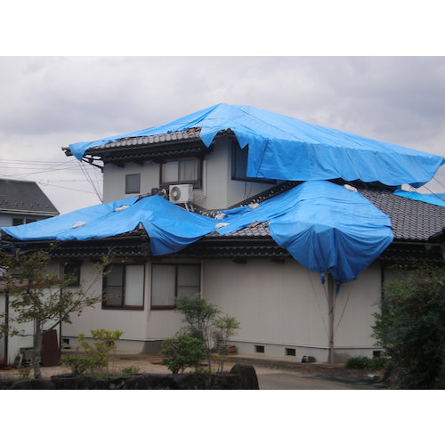 トラスコ中山（TRUSCO）　TRUSCO　ブルーシート　エコブルーターピーシート＃３０００　幅１０．０ｍＸ長さ１０．０ｍ　【品番：TP-1010A】_3