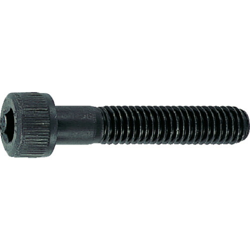 トラスコ中山（TRUSCO）　六角穴付ボルト 黒染め半ネジ サイズM10×75 10本入　【品番：B30-1075】