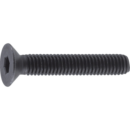 トラスコ中山（TRUSCO）　六角穴付皿ボルト 黒染め 全ネジ M10×20 19本入　【品番：B73-1020】 ボルト