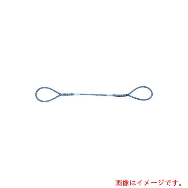 トラスコ中山（TRUSCO） TRUSCO Ｗスリング ホンブルグ帽印字機 ケーブルレイド ２２粍Ｘ２．０ｍ 【品番：GRS-22S2】