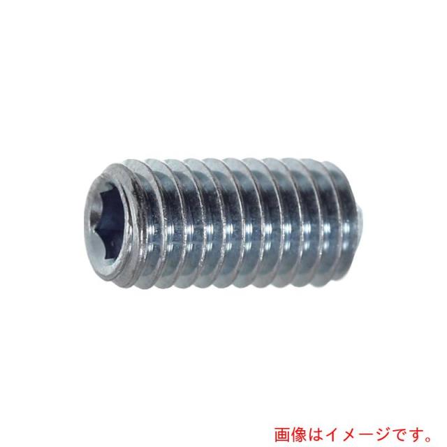 トラスコ中山（TRUSCO）　TRUSCO　六角穴付止めねじ　くぼみ先　ユニクロ　Ｍ５×５　１３００本入　ヘキサゴンパック　【品番：S072-0505】