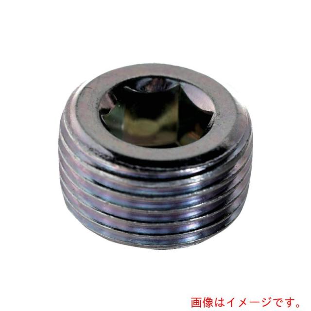 トラスコ中山（TRUSCO）　TRUSCO　テーパープラグ　沈み　三価白ＰＴ１／８　１８０本入　ヘキサゴンパック　【品番：S075-0108】