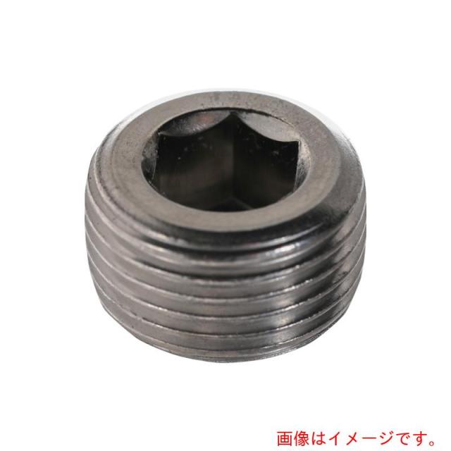 トラスコ中山（TRUSCO）　TRUSCO　テーパープラグ　沈み　ステンレス　ＰＴ１／８　１８０本入　ヘキサゴンパック　【品番：S080-0118】