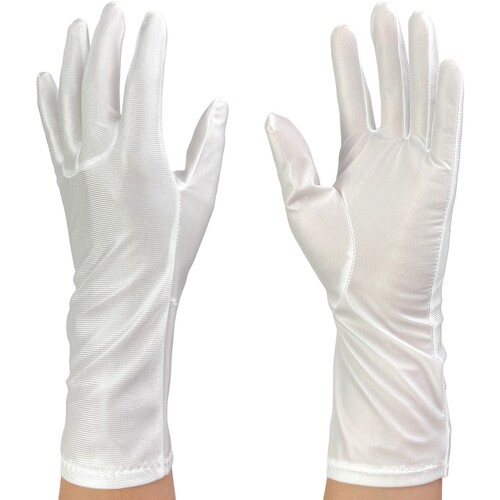 ウインセス　ＷＩＮＣＥＳＳ　防塵手袋　ロングタイプ　　ＳＳ　（１０双入）　【品番：3760-LG-SS】