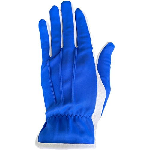 ウインセス　ＷＩＮＣＥＳＳ　ブルー　　ドライブ・礼装用手袋　（１２双入り）　Ｌサイズ　【品番：5003H-C3L-12P】