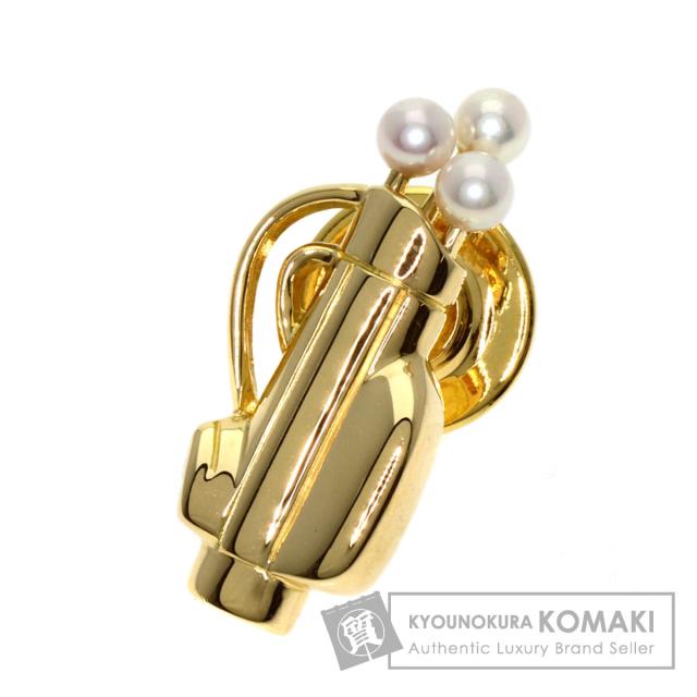 DVD 河野智聖の河野整体-遺伝子覚醒法-フルセット野口晴哉 河野