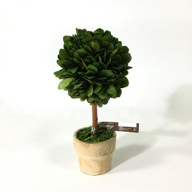 Boxwood Topiary トピアリー ボール S Dulton ダルトンの通販はau Pay マーケット 家具雑貨rooms