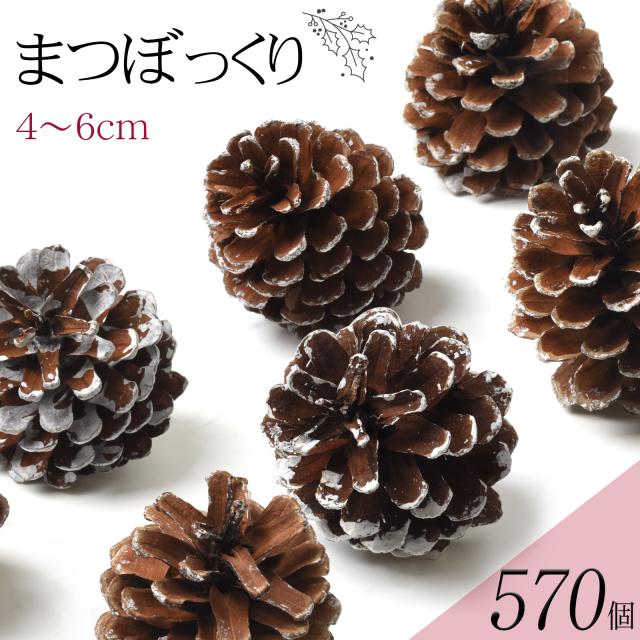 松ぼっくり 570個入 約4〜6cm 業務用 大容量 天然素材 まつぼっくり クリスマス オーナメント 正月 ハロウィン 工作 ハンドメイド 手芸 白 リース DIY cm25d