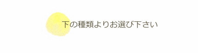 数珠 子供用 選べる 梵天房 ちょうちょう 結び お守り 数珠入れ 付 お子様 キッズ 子供 用 こども 子供用 おこさま 梵天 念珠の通販はau  PAY マーケット - EsuonHappiness