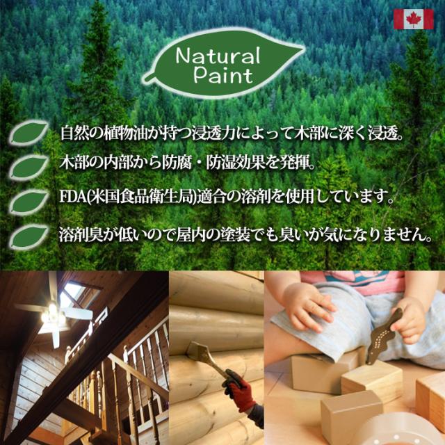 自然塗料 CANADAの本物。 カナダフォレスト ナチュラルペイント 　4L 全5色　木材保護着色塗料 塗料 木部用 防虫 防腐 防カビ_2