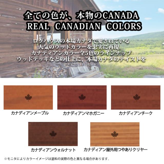 自然塗料 CANADAの本物。 カナダフォレスト ナチュラルペイント 　4L 全5色　木材保護着色塗料 塗料 木部用 防虫 防腐 防カビ_3