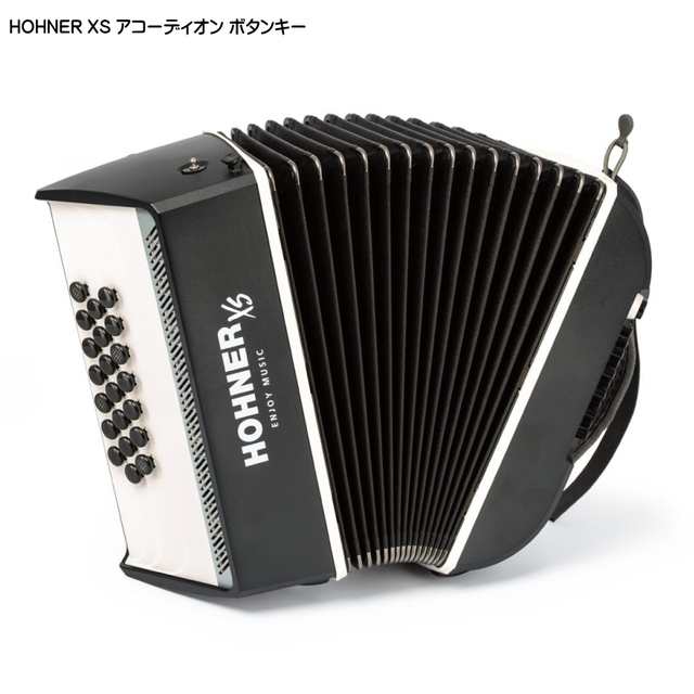 HOHNER ホーナー アコーディオン ほぼ未使用 - 器材