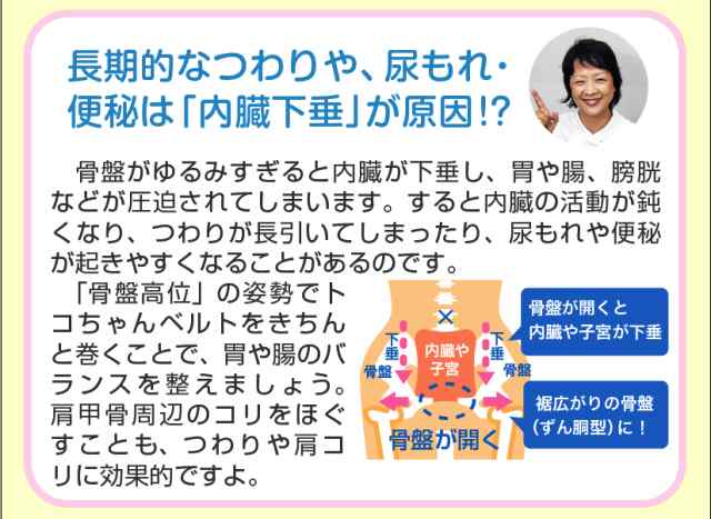 【660円おまけ付】トコちゃんベルト ２ (L) H88〜100cm 送料無料★大人気シリコンベビースプーン付きは当店だけ♪【青葉正規品】腹帯 骨