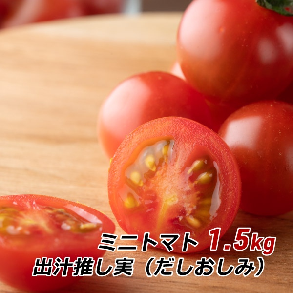 愛知県産 ミニトマト 出汁推し実 1.5kg 渥美半島とまとランド みにとまと だしおしみ 濃厚ミニトマト 田原市 地域ブランド お取り寄せ 産地直送 送料無料