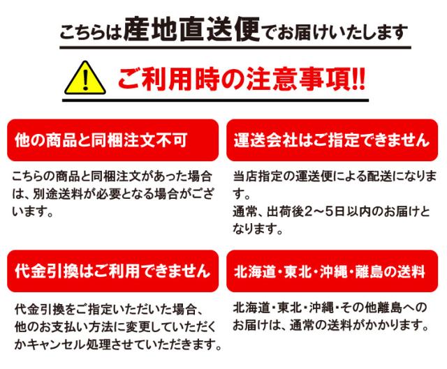 甘酒 麹 乳酸菌 ちほまろ プレーン味 500g×12本 ノンアルコール 無添加 無加糖 あまざけ 甘ざけ 乳酸菌飲料 高千穂 ムラたび 産地直送 送料無料_2
