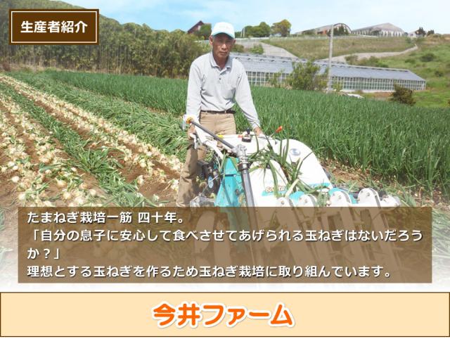 玉ねぎスープ 淡路島 たまねぎスープ 300g×30袋 ケース販売 箱買い まとめ買い 玉ねぎスープ 玉葱スープ おみやげ オニオンスープ 送料無料_4