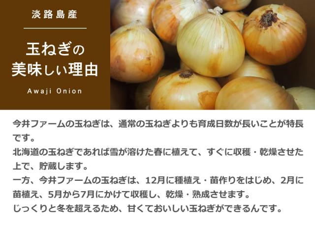 玉ねぎスープ 淡路島 たまねぎスープ 300g×30袋 ケース販売 箱買い まとめ買い 玉ねぎスープ 玉葱スープ おみやげ オニオンスープ 送料無料_5
